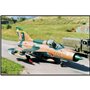 MIG 21, 397 PCS ARMED FORCES 