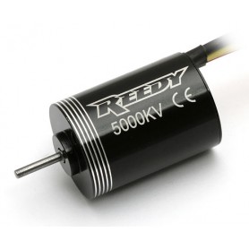Reedy Micro BL motor 5000kV