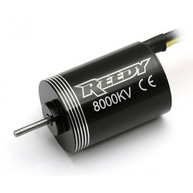 Reedy Micro BL motor 8000kV