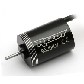 Reedy Micro BL motor 9500kV