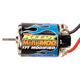Reedy Mini-MOD 17T