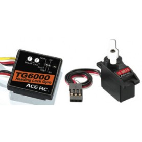 TG-6000 Gyro & servo C0915