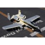 A10 Thunderbolt Silver